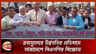 দ্রব্যমূল্যের উর্ধ্বগতির প্রতিবাদে সারাদেশে বিএনপির বিক্ষোভ | BNP | Channel 24