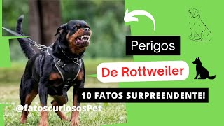 🐕‍🦺"Perigos De Rottweiler: 10 Fatos Surpreendentes!"