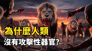 為什麽人類不進化出，殺傷力更大的攻擊性器官？#人類 #動物 #進化 #科普