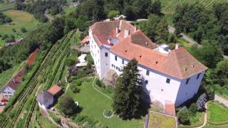 Schloss Kapfenstein Drohne