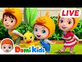 🔴【LIVE】BEST Domi Kids Songs🏆| Baby Shark | Finger Family | Animal Dance Song | More Nursery Rhymes