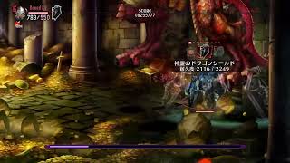 Dragon's Crown Pro 夢幻の天廊