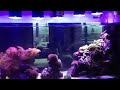 lumini asta 120r1 led aquarium light