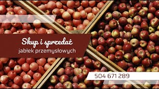 Skup jabłek przemysłowych i sprzedaż hurtowa Agro Star Bis Monika Szymaniak Stara Warka