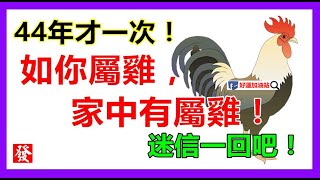 如果你不屬雞，你最愛的人屬雞，或家中有屬雞，44年才一次！迷信一回吧！| 星座生肖