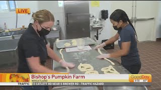 Bishop's Pumpkin Farm in Wheatland is Open!