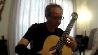 Realization - Pat Metheny (adapted for classical guitar by Oleg Grinfeld)