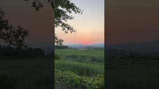 #농촌 #저녁노을 #새소리 Evening sunset \u0026 birdsong in Korean countryside