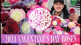 JFTV: Jet Fresh Flower Growers' 2021 Valentine's Day Roses with Casey