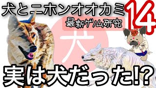 日本狼は犬だった!?〜犬とニホンオオカミ14〜ゲノムから探る姿