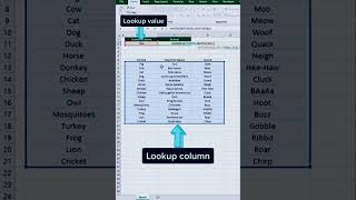 Index, Match in Excel #shortsfeed #youtube #exceltips