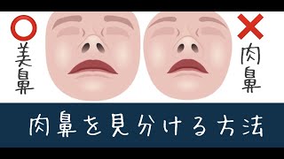 肉鼻を見分ける方法〜団子鼻やあぐら鼻は美鼻にはならない理由