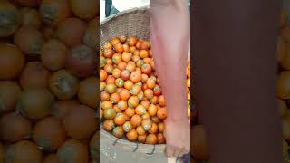 বরিশালের সুপারি  বাজার #shortsfeed #viralvideo #food #new