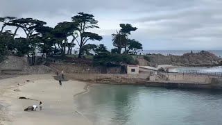 Cause of death for swimmer found in Santa Cruz County beach revealed by coroner
