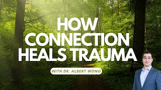 How Connection Heals Trauma (and why it terrifies us too)