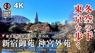 Shinjuku Gyoen and Jingu Gaien] Walking in Tokyo in early winter when the air is clear.