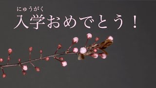 LINEで送れる！ 入学おめでとうメッセージのフリー動画