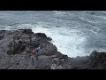 foolhardy tourists around the halona blowhole oahu