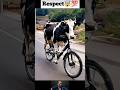 Respect😱💯|| cow is cycling #shorts #respect