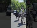 police horses spooked outside horse guards metpolice