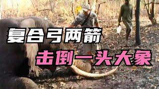 獵人用複合弓兩箭擊倒了一頭重達5噸的成年大象，並狩獵犀牛、疣猪、獅子、駝鹿等！ 《肉食獵人》S10E5