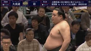 大相撲2019年3月場所 中日 彩vs大成道