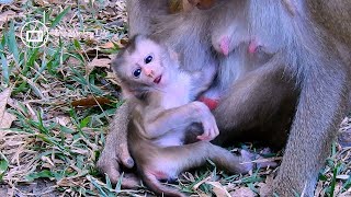 Free style of baby Lily after get milk from mom Libby