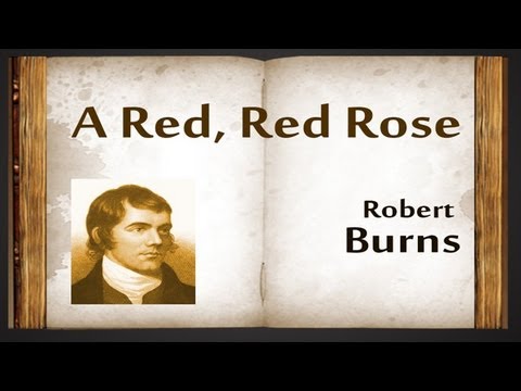 What does my love is like a red red rose mean?