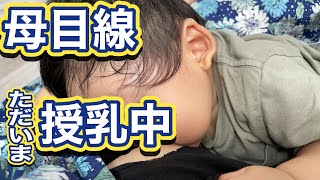 【母目線】赤ちゃん授乳中‼︎10ヶ月吸ってきた吸いっぷり！