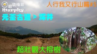 [元荃古道]  [深井] - 輕鬆短線行山 超壯觀大榕樹 眺望青馬大橋 + 柳氏家炒辣雞唔辣既? - 人行我又行山篇 [Episode 5]@眼袋梅菲