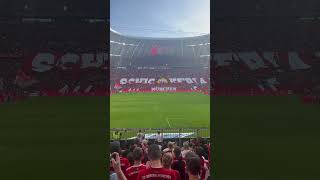 Choreo Schickeria München 20 Jahre. FC Bayern München - FSV Mainz 05