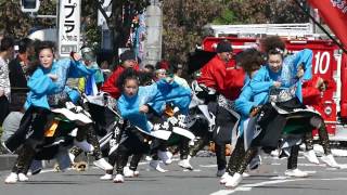 雅華組 ・2015ところざわYOSAKOI・狭山ヶ丘駅東口