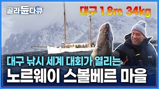 눈 내리는 노르웨이 바다에서 대구 낚시 🎣 길이 1.8m 무게 34kg | 대구 낚시 세계 대회 | 월척 | 세계테마기행 | #골라듄다큐