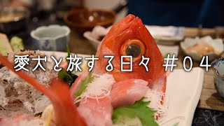 愛犬の誕生日🎂に伊豆高原へ行って来た。｜ペットと泊まれる宿・修善寺虹の郷・浄蓮の滝・川端康成文学碑・天城越え・大室山・金目鯛のお造り・しゃぶしゃぶ・煮付け