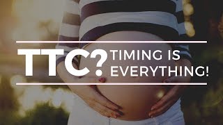 GET PREGNANT FAST! WHY TIMING IS EVERYTHING WHEN TRYING TO CONCEIVE