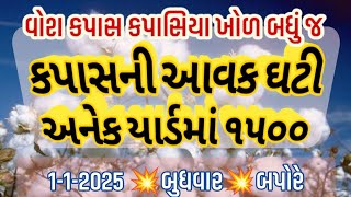 🔴કપાસમાં તેજી ક્યારે ? | live cotton trading price in BOTAD APMC,kapas Na bhav, JANUARY 1, 2025