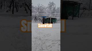 Kashmir me heavy Snowfall 😍🌨️🌨️#youtubeshorts #snow