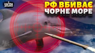 Екологи б'ють на сполох: Як РФ вбиває Чорне море. Небачене забруднення