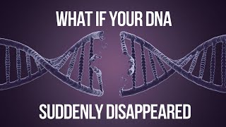 What if your DNA suddenly disappeared || क्या होगा अगर आपका डीएनए अचानक गायब हो जाए