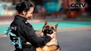 《天网》人犬情缘·钟爱一生：夫妻二人都与警犬并肩作战 在他们的生活中 犬永远是最亲密的伙伴 | CCTV社会与法