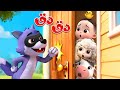 ليا تشاتشا - LiaChaCha | دق دق الباب حيوانات