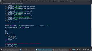Python Programming Timelapse
