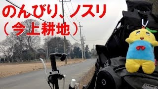 のんびりノスリ（今上耕地） / 千葉県野田市