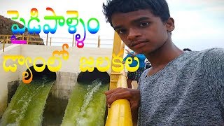 పైడిపాళ్ళేం డ్యాంలో జలకళ.. చేపలే చేపలు | Paidipalem Dam | lift irrigation | YSR Kadapa | Rayalaseema