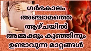 5th week of pregnancy/ അഞ്ചാമത്തെ ആഴ്ചയിൽ അമ്മക്കും കുഞ്ഞിനും ഉണ്ടാവുന്ന മാറ്റങ്ങൾ/#malayalam