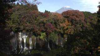 静岡県　紅葉した白糸の滝・音止の滝と富士山