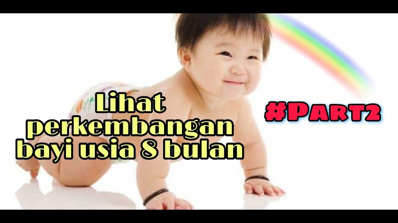 CARA MELIHAT PERKEMBANGAN BAYI USIA 8 BULAN #PART 2. - YouTube