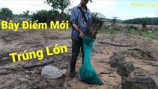 Bẫy Cua Điểm Mới Trứng Mánh Còn Được Thêm Ổ Cá TRê Vàng Khủng | Bắt Cua Đồng | Cua Đồng | Phú 9 vlog