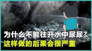 神奇的马拉高尼效应！如果往开水中尿尿，会发生怎样严重的后果？