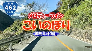 【メロディーライン】こいのぼり/国道462号線（群馬県神流町）